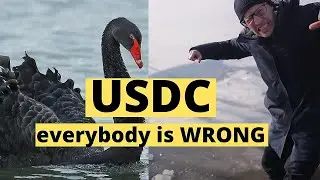 Is USDC the next UST?