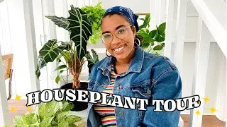 Осенний тур HOUSEPLANT 2021 | с участием Pothos, Philodendrons, Monstera и других | Housewarmin