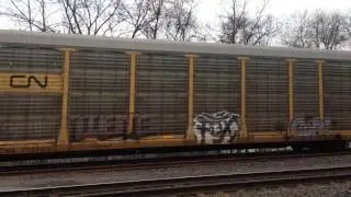 Norfolk Southern west bound empty auto rack Beaver Falls P.A