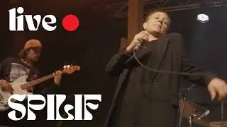 Spilif - I quit (LIVE 🔴 Noppen Air Musikfestival 2024) | @spilif