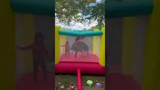 Backyard fun #backyard #playtime #jumping #bouncy #bouncehouse #playtime #playdate #minishorts