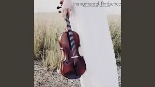 Serene Mind
