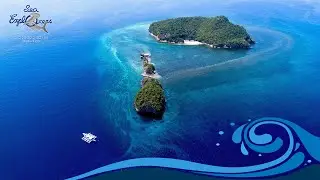 Sugar Beach Sipalay - Sea Explorers NEW Dive Location