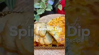 Spinach Dip Recipe #spinachdip #recipe #cooking