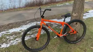 Gt 29er Dave volker edition yearly update