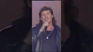 David Hasselhoff - Crazy for you  #musica #music #show #davidhasselhoff