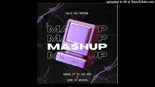 Shake_It_To_The_Max__x__Love_Is_Wickead__( WILDJAY )