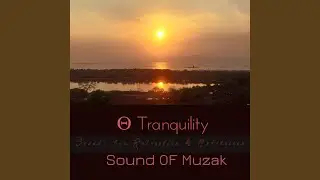Theta Tranquility