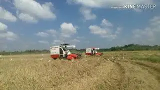 KUBOTA Combine havestor Dc 70g and 70g+.