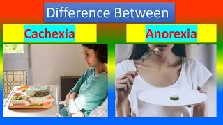 Difference Between Cachexia and Anorexia