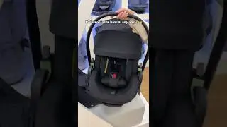 Thule Maple Car Seat