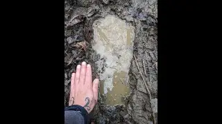 Ohio Bigfoot: Thank you for all the well wishes!
