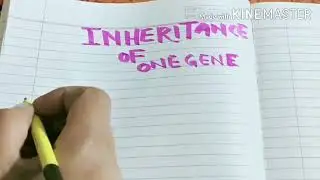 Class 12 BIOLOGY CHAPTER 5 Lecture 6 GENETICS (Inheritance of One Gene)