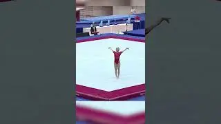 SEA Games 2025: Sisters Amanda and Emma Yap each clinch artistic gymnastics silvers