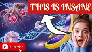 TOP 10 MIND-BLOWING FACTS YOU DIDN&rsquo;T KNOW #MindBlowingFacts #Top10Facts #DidYouKnow