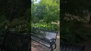 Nature appreciation #nature #shortvideo #natureshorts