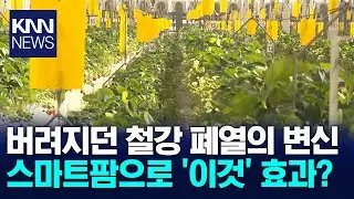 공장 폐열로 스마트팜 눈길 / KNN
