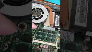 PC Black Screen, NO Signal? 🛑 Check THIS First!