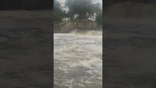 vellore palar river today palaru #palar