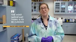 CBS research virtual lab tour: Snell-Rood Lab