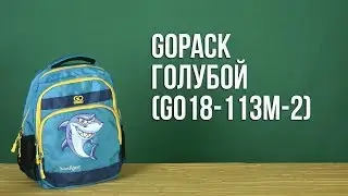 Распаковка GoPack 38х28х18 см 19 л Голубой GO18-113M-2