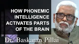 How Phonemic Intelligence Activates Different Parts of The Brain - Part 2 of 3