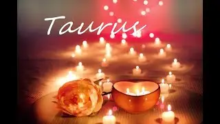Taurus ♉️💖They have mutual feelings for you! #February 2021 #Love Tarot Reading