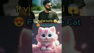 Top 10 Favourite Cat 😺 Of Indian Cricketers #cricket #viratkohli #msdhoni #cat