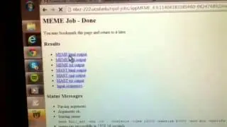 Meme suite