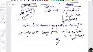 Developmental Biology Class 4 -Conditional Specification