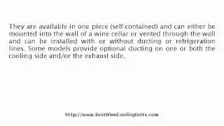 Wall Mounted Wine Cooler