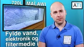 Fylde vand, elektronik og filtermedie i - Malawi akvarie