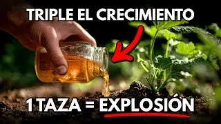 Con UN Solo Riego, Este Líquido “Prohibido” Triplica tu Huerto (SIN FERTILIZANTE)