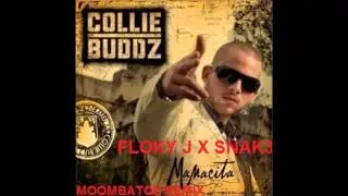COLLIE BUDDZ -  MAMACITA  *FLOKY J X SNAK3* (MOOMBAHTON)