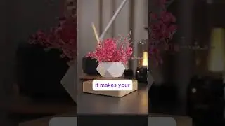 Floating Plant Pot Magic ✨ | Levitating Planter 🔗 Link in the comments!