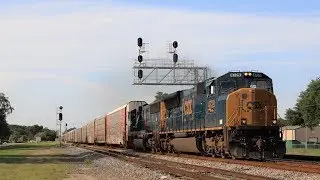 [HD] CSX Trains along the S-Line in Central Florida! (June 2019)