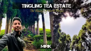 Tingling Tea Estate Mirik ||  Offbeat Place || Tingling View Point || Near Siliguri