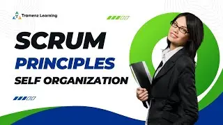 Self-Organization: The Secret to a More Efficient and Effective Team