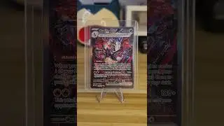 The BEST Shiny Charizard Card Released! - To the Binder or the Bulk Bin?