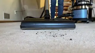 The Majestic Vacuum &ndash; Powerful Pet Hair Removal