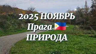 2025 НОЯБРЬ ПРИРОДА Прага 🇵🇭#природа #ноябрь2025 #ходьба #MadameRozenberg #релакс 