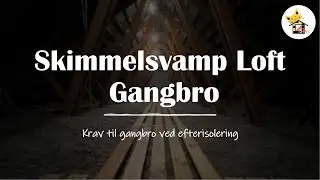 Skimmelsvamp under gangbro? Hvilke krav er der til en gangbro p&aring; loftet?