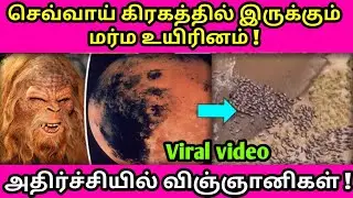 செவ்வாய் கிரகத்தில் இருக்கும் அதிசய உயிரினம் ! விஞ்ஞானிகள் அதிர்ச்சி ! NASA, Mars, Tamil news live
