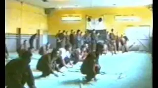 Stage de vo-vietnam 1995