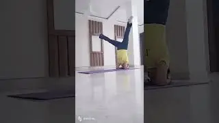 headstand variation 🤗#headstand #headstandvariation #homeyogapractice #balance #yogaflow