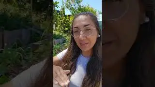 Cum folosim cenușa pentru a scăpa de dăunători și ca îngrășământ.