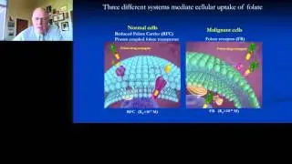 Philip Low - Ligand Targeted Therapies for Cancer and Autoimmune Diseases