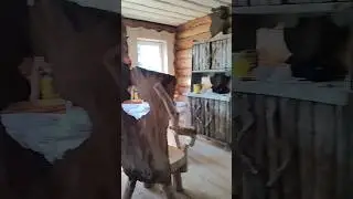 жиза