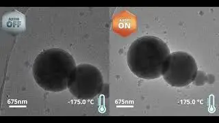 Cryo Transmission Electron Microscopy with AXON Synchronicity