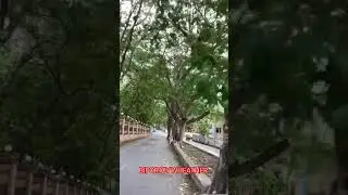 #biporjoycyclonenews #jamnagar